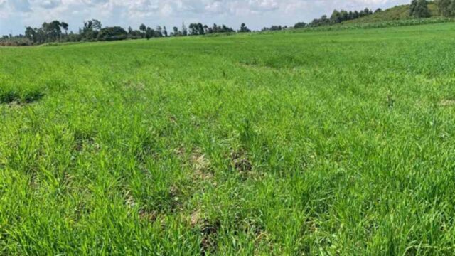 Investment Land for Sale in Laikipia 800 Acre Luxury Conservancy Opportunity2