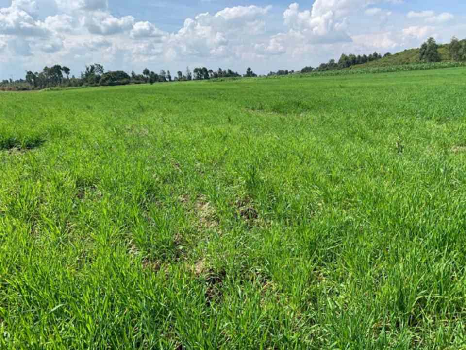 Investment Land for Sale in Laikipia 800 Acre Luxury Conservancy Opportunity2