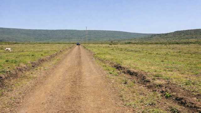 Kajiado – Loodariak