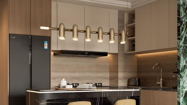 WhatsApp Image 2026-02-09 at 08.32.57